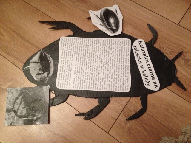 kaluznica-czarna-art